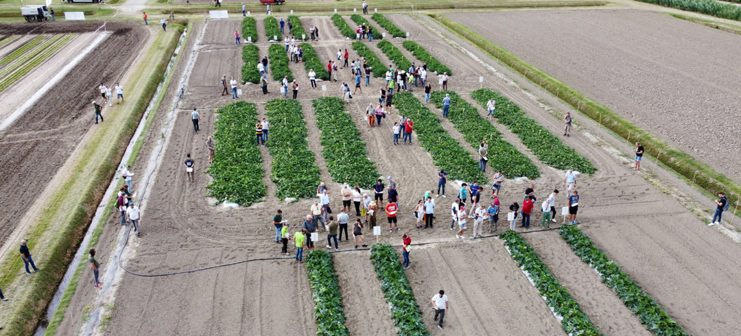 10 Luglio: Giornata dimostrativa biostimolanti