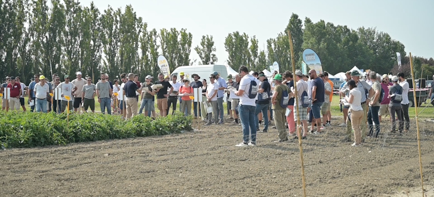 Grande interesse per le visite alle parcelle di Biostimolanti in Campo