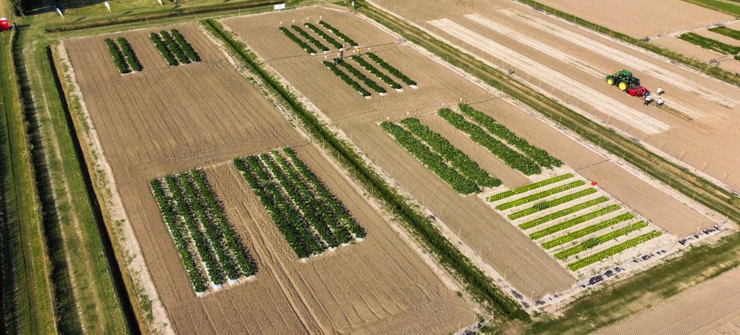 campo prova biostimolanti in campo 2024