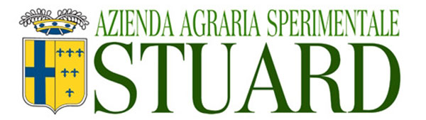 Stuard