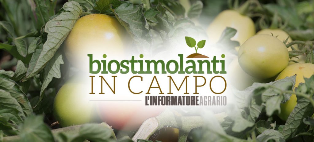 Scopri l'edizione 2025 di Biostimolanti in Campo