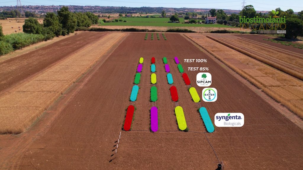 prova biostimolanti in campo Centro dimostrativo Arsial di Tarquinia