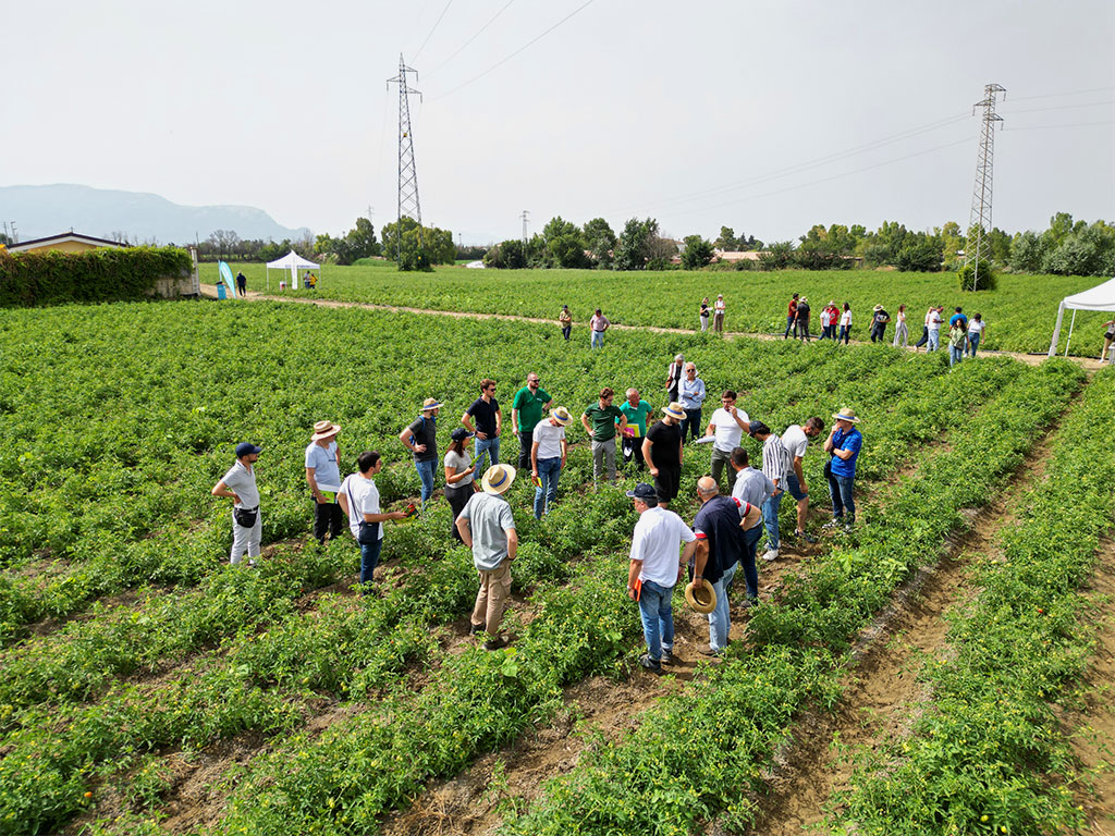 Tecnici in campo alla visita degli scorsi anni a Biostimolanti in Campo