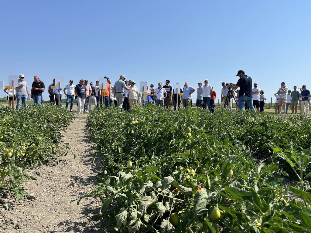 Tecnici in campo alla visita degli scorsi anni a Biostimolanti in Campo