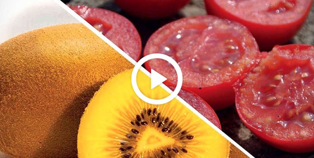 Pomodoro e actinidia protagoniste di Biostimolanti in Campo 2026