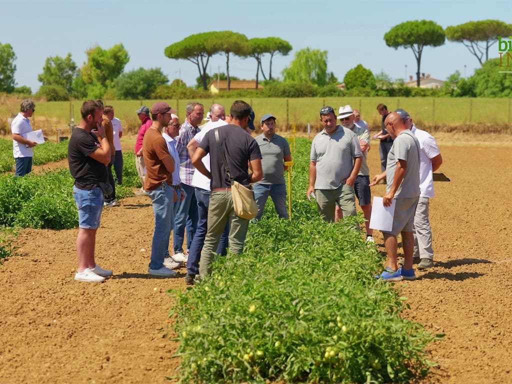 Tecnici in campo alla visita degli scorsi anni a Biostimolanti in Campo